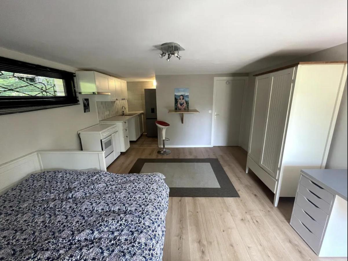 Quiet Studio In A House In Sevrier Annecy Lake Very Close To The Lake Extérieur photo